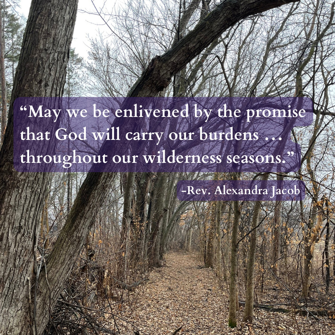 March Newsletter: Abundance in the Lenten Wilderness